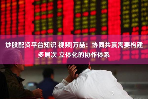 炒股配资平台知识 视频|万喆：协同共赢需要构建多层次 立体化的协作体系