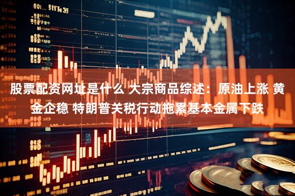 股票配资网址是什么 大宗商品综述：原油上涨 黄金企稳 特朗普关税行动拖累基本金属下跌