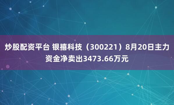 炒股配资平台 银禧科技（300221）8月20日主力资金净卖出3473.66万元