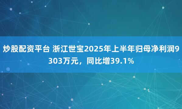 炒股配资平台 浙江世宝2025年上半年归母净利润9303万元，同比增39.1%