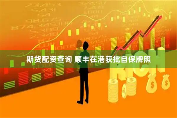 期货配资查询 顺丰在港获批自保牌照